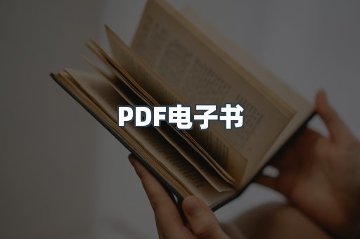 PDF电子书